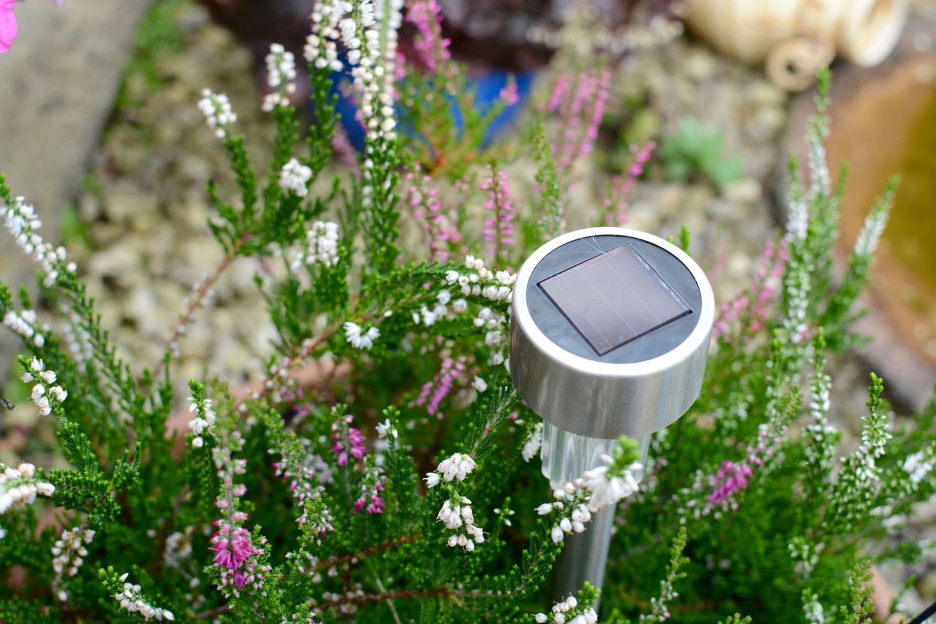 do solar lights only come on when dark3