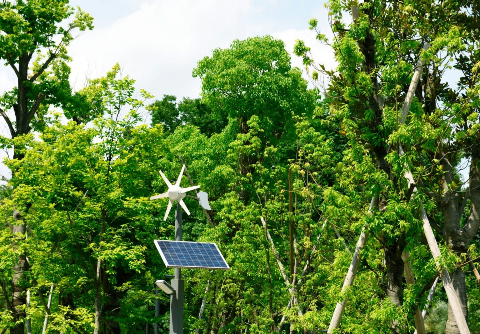 Environment With Led Light Why are led lights used in streets? – Green Frog Systems